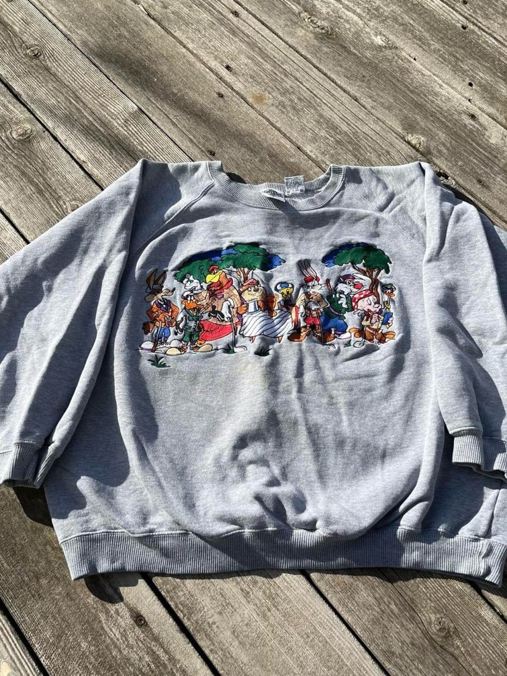 ACME Looney tunes picnic embroidered vintage crewneck